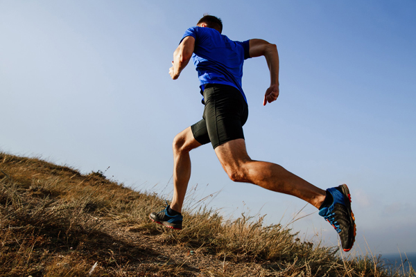 Sport Tourism